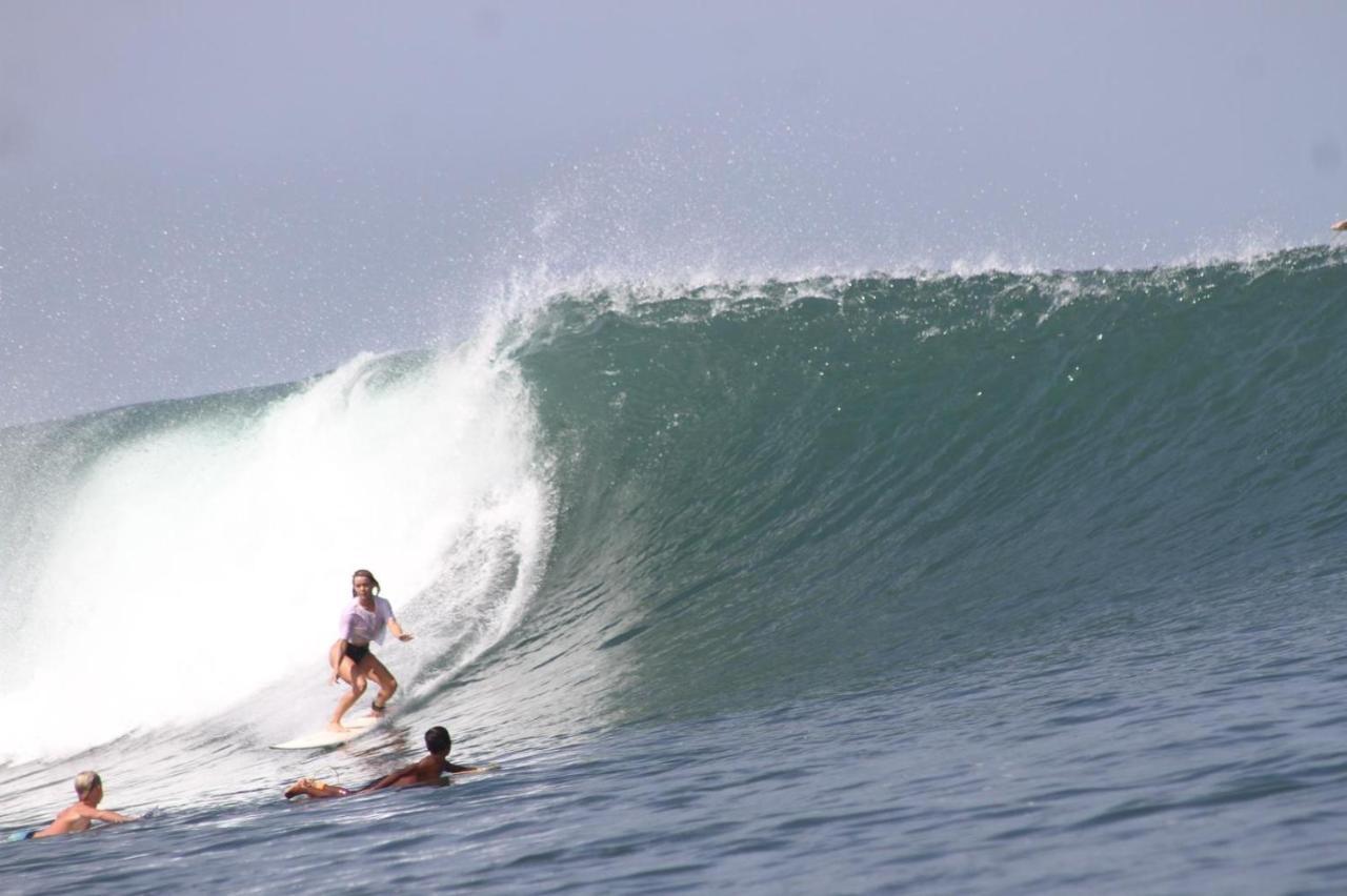 Medewi Secret Surfcamp Otel Pulukan Dış mekan fotoğraf